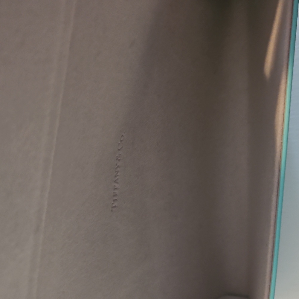 Tiffany & Co. Turquoise Eyeglass Case - Picture 4 of 4